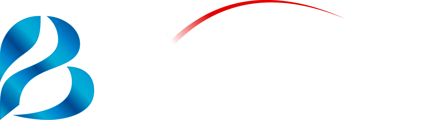 Brandleap Agency- Best Digital Marketing Company