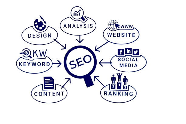 Professional SEO Consultant in Chicago