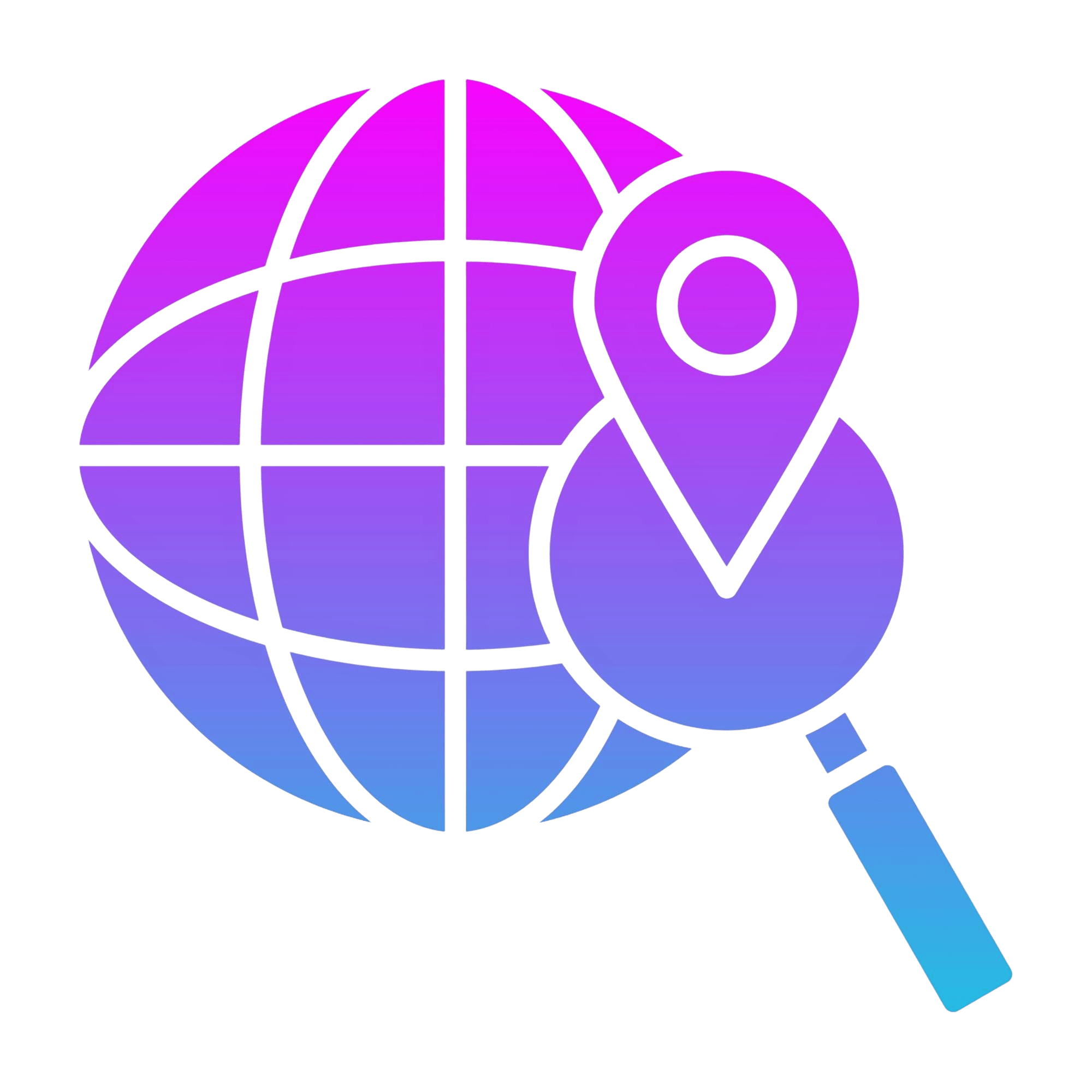 Website Audit & Analysis